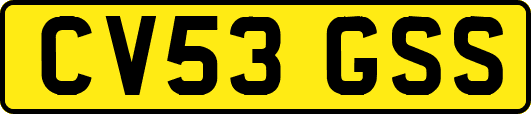 CV53GSS