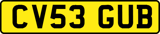 CV53GUB