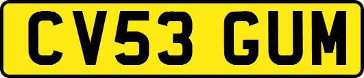 CV53GUM