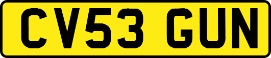 CV53GUN