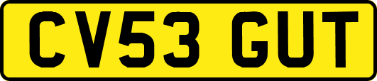 CV53GUT