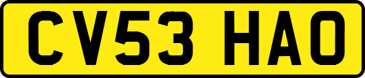 CV53HAO