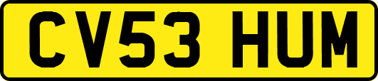 CV53HUM