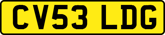 CV53LDG