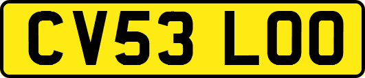 CV53LOO