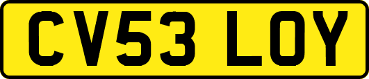 CV53LOY