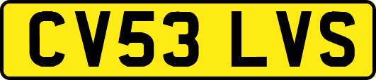 CV53LVS