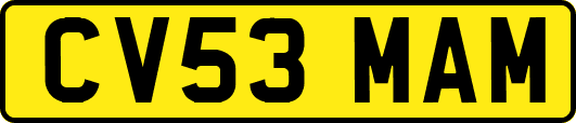 CV53MAM