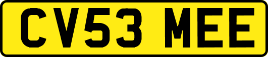 CV53MEE