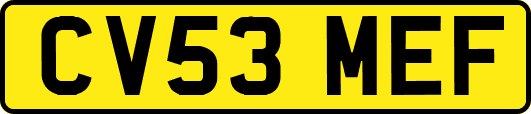 CV53MEF