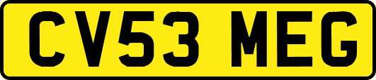 CV53MEG