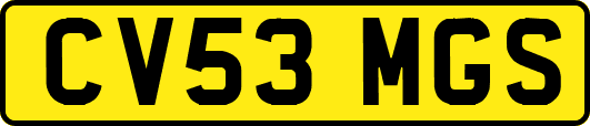 CV53MGS