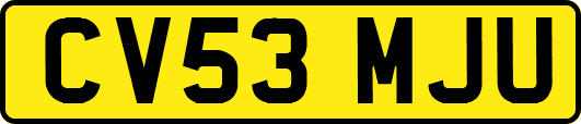 CV53MJU