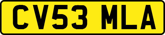 CV53MLA