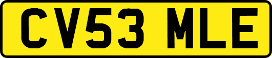 CV53MLE