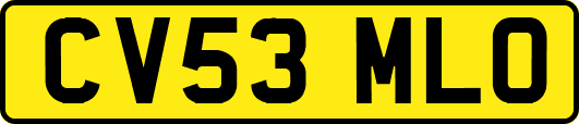 CV53MLO