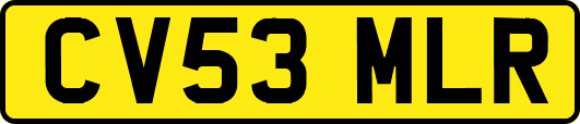 CV53MLR