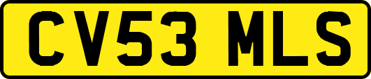 CV53MLS