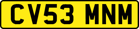CV53MNM