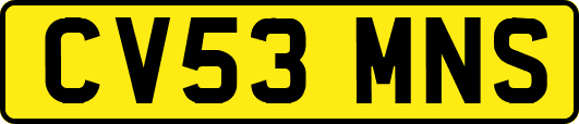 CV53MNS