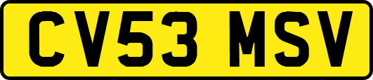 CV53MSV