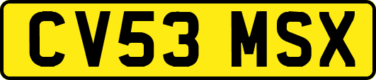 CV53MSX