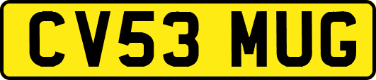 CV53MUG