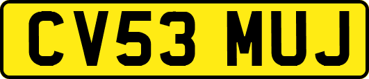 CV53MUJ
