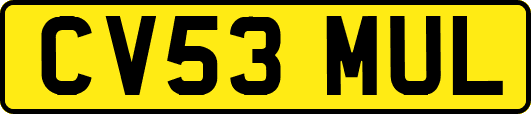 CV53MUL
