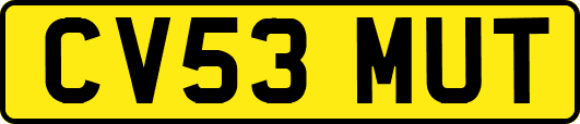 CV53MUT