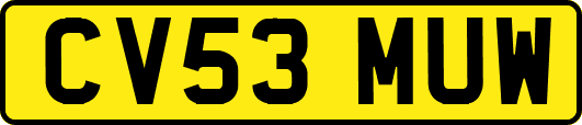 CV53MUW