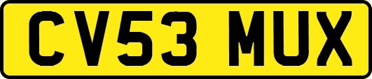 CV53MUX