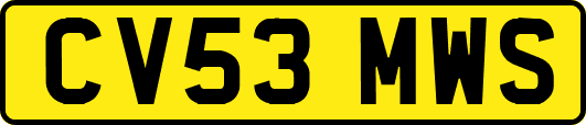 CV53MWS