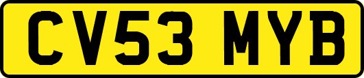 CV53MYB