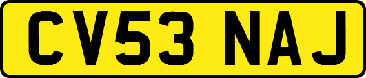 CV53NAJ