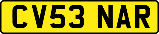 CV53NAR