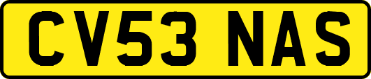CV53NAS
