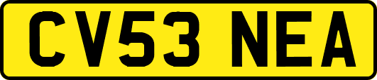 CV53NEA