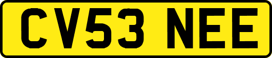 CV53NEE