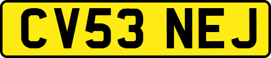 CV53NEJ