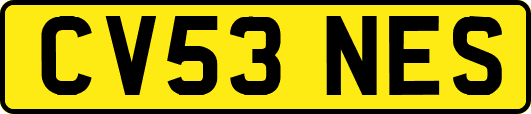 CV53NES