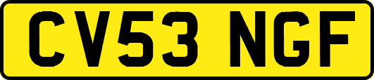 CV53NGF