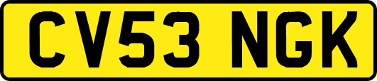CV53NGK