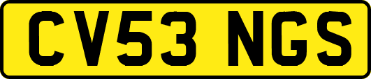 CV53NGS