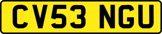 CV53NGU