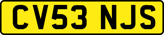 CV53NJS