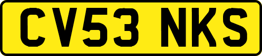 CV53NKS