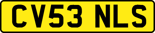 CV53NLS