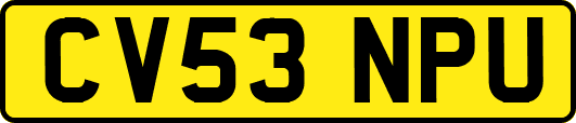 CV53NPU