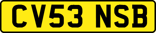 CV53NSB
